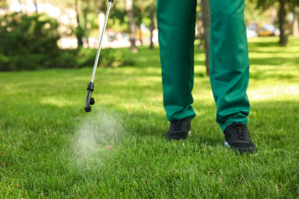 Best Pest Control Near Me  in Warwick, RI