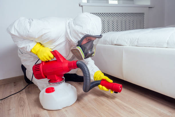 Best Rat Extermination Near Me  in Warwick, RI