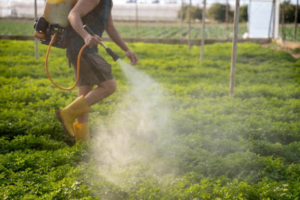Best Pest Prevention Services  in Warwick, RI