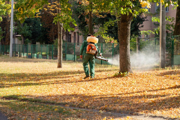 Best Exterminator Services  in Warwick, RI