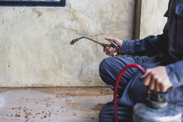 Best Wasp Removal Services  in Warwick, RI